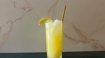 Ginger Highball
