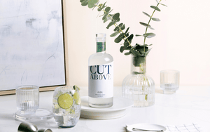 non-alcoholic gin alternative cut above spirits