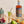 Load image into Gallery viewer, Abstinence Cape Spice