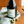 Load image into Gallery viewer, Copenhagen Sparkling Tea Trio