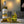 Load image into Gallery viewer, Abstinence Lemon Aperitif
