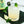 Load image into Gallery viewer, Mojito Syrup 2-pack