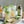 Load image into Gallery viewer, Mojito Syrup 2-pack