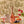 Load image into Gallery viewer, Prima Pavé Rosé Dolce Demi-Sec with flowers, figs and blood oranges