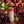 Load image into Gallery viewer, The Free Spirited | Red Blend Cans