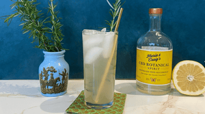 non-alcoholic cbd grapefruit cocktail / mocktail recipe
