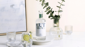 non-alcoholic gin alternative cut above spirits