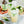 Load image into Gallery viewer, Mojito Syrup 2-pack
