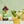 Load image into Gallery viewer, Mojito Syrup
