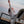 Load image into Gallery viewer, Pentire Paloma
