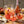 Load image into Gallery viewer, Lyre's Classico Rose

