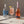 Load image into Gallery viewer, Lyre's Classico Rose
