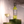 Load image into Gallery viewer, noughty blanc white wine chardonnay alternative
